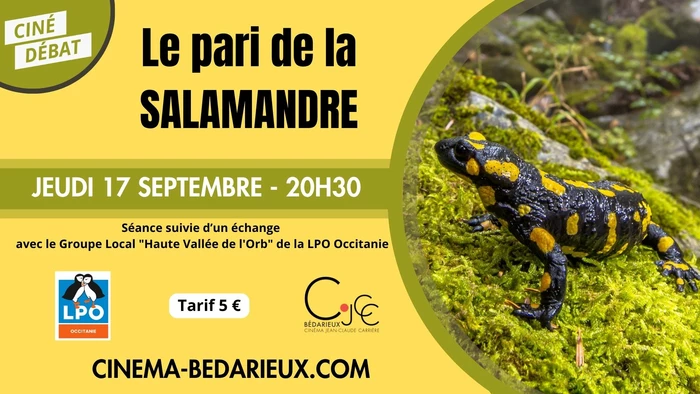 Le pari de la salamandre - 
