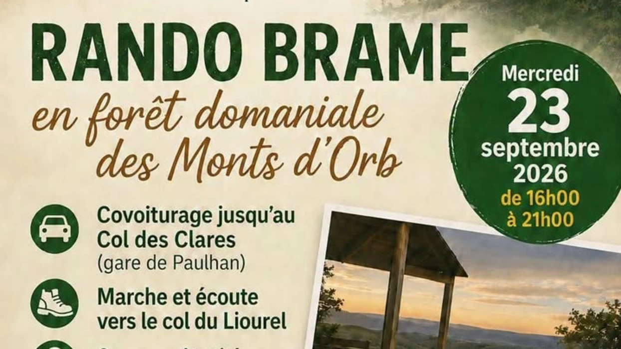 Rando Brame - 