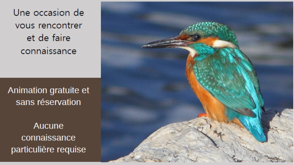 Tout le monde sur le pont - 