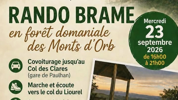 Rando Brame