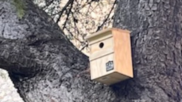 Une après-midi dédiée la biodiversité à la Cité Mixte Ferdinand Fabre à Bédarieux