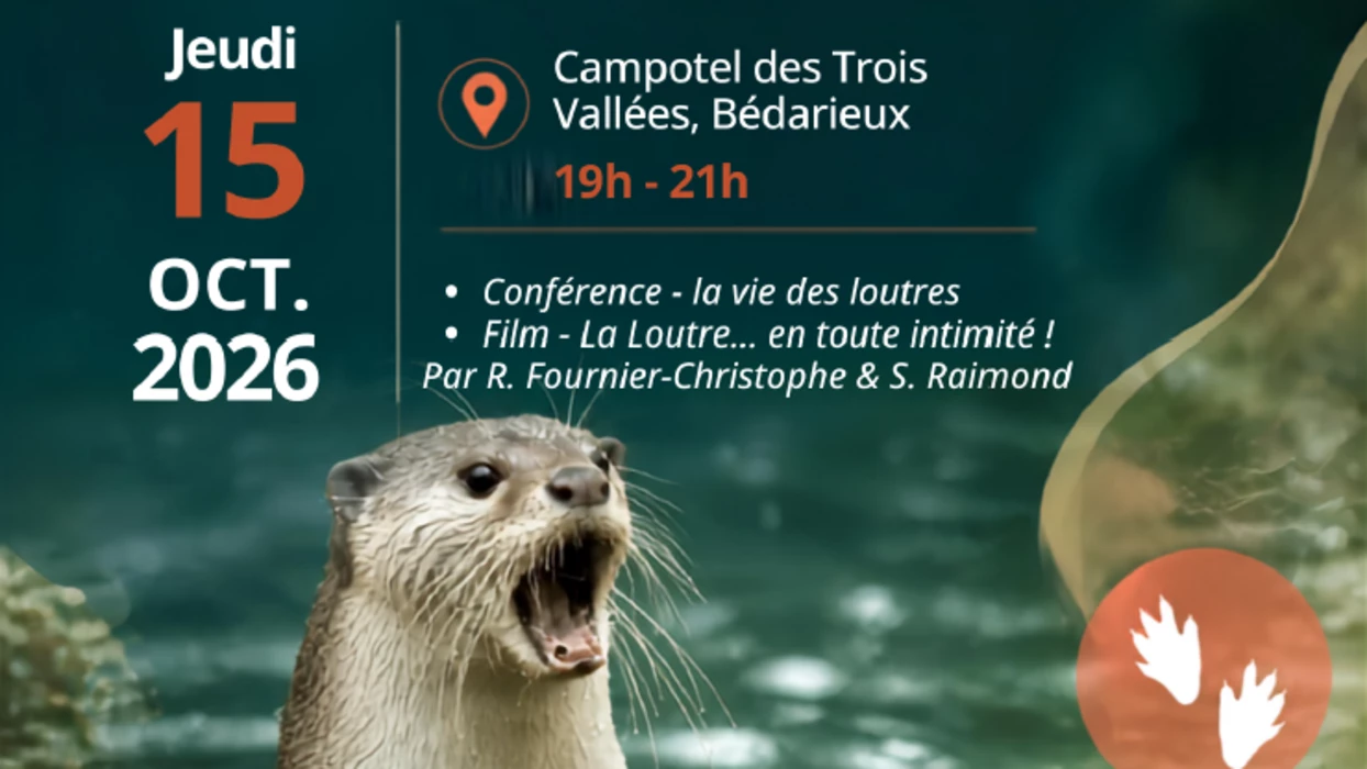 A la découverte de la Loutre d'Europe