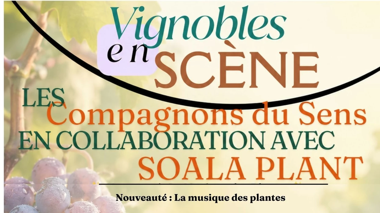 Le chant de la vigne