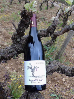 photo-3-6c6c4232839f436fb31511cf00a6df93 ©Domaine de Gravezon