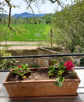 TERRASSE 1 ©Mireille BONNAL 