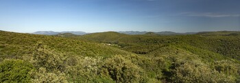 Vue du domaine Pouzes et massif du Caroux ©DE CLOCK Sophie 