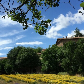 vallon sauvage Domaine de Pouzes ©DE CLOCK Sophie