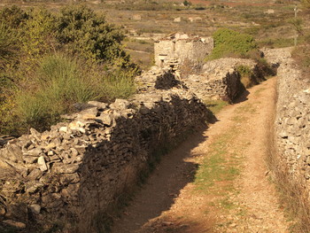 Causse _Bédarieux_OTBédarieux ©OTI Bédarieux