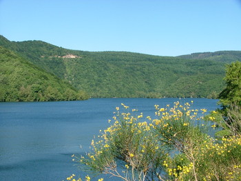 Lac d'Avène R. Troisi PHLV ©Rachel Troisi PHLV