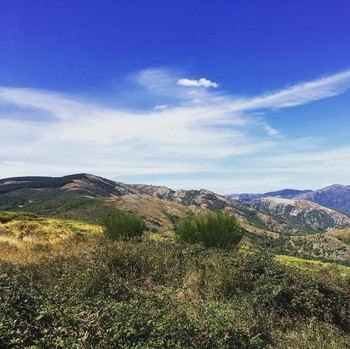 Vue depuis la forêt ded l'Usclade ©S. Collon